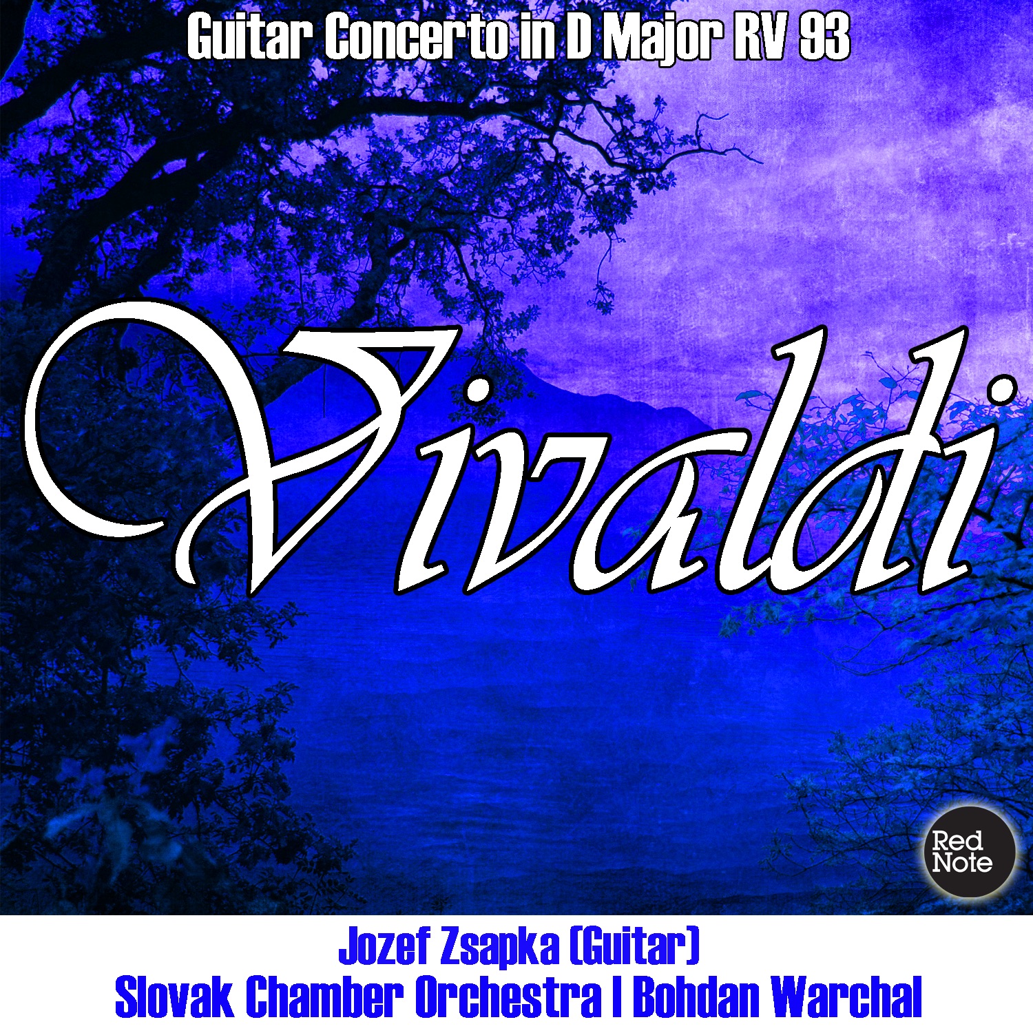 Vivaldi: Guitar Concerto in D Major RV 93 album cover
