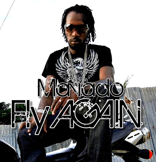 Fly Again - Single album cover