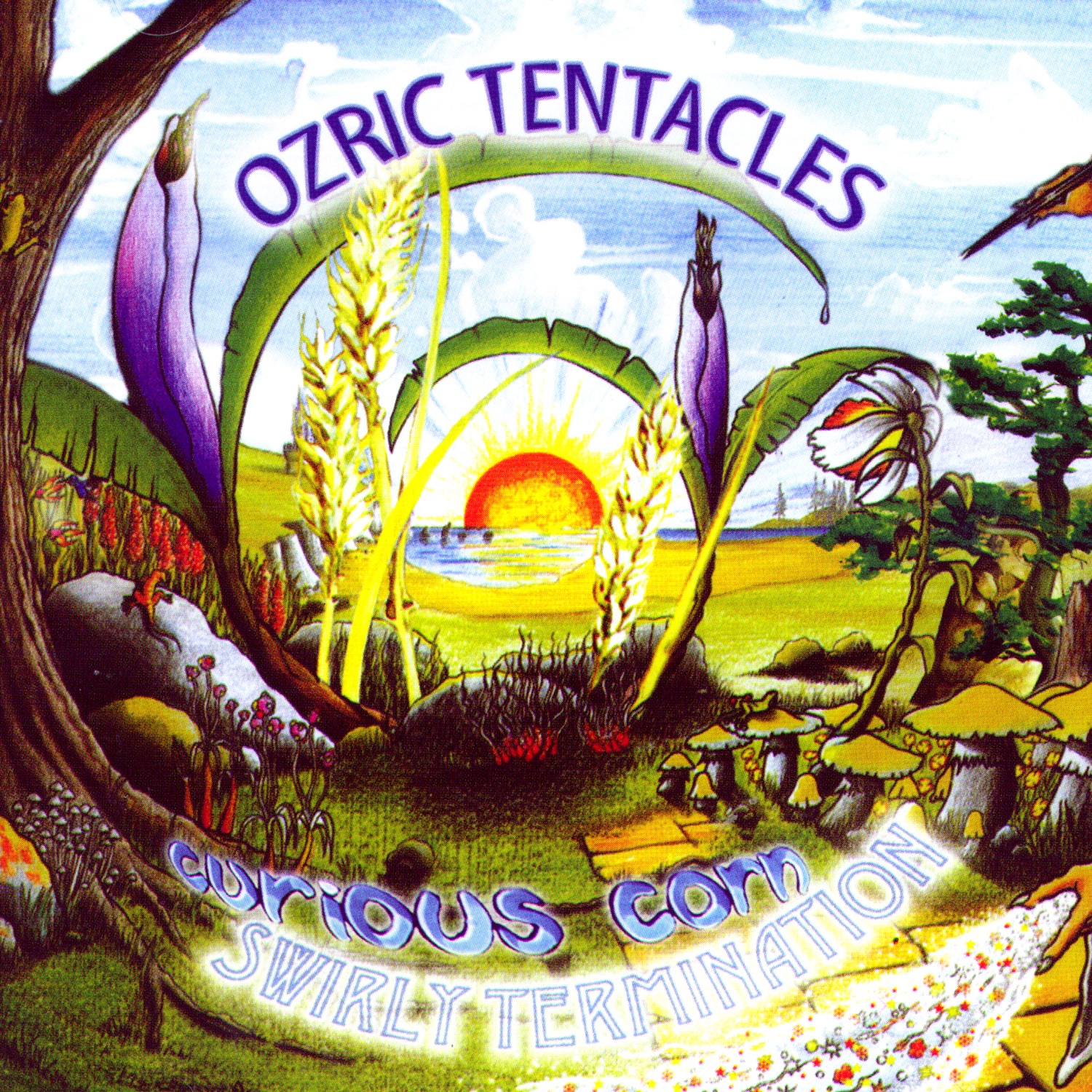 Curious Corn / Swirly Termination album cover