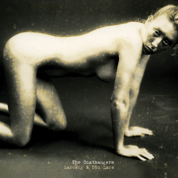 Larceny & Old Lace album cover
