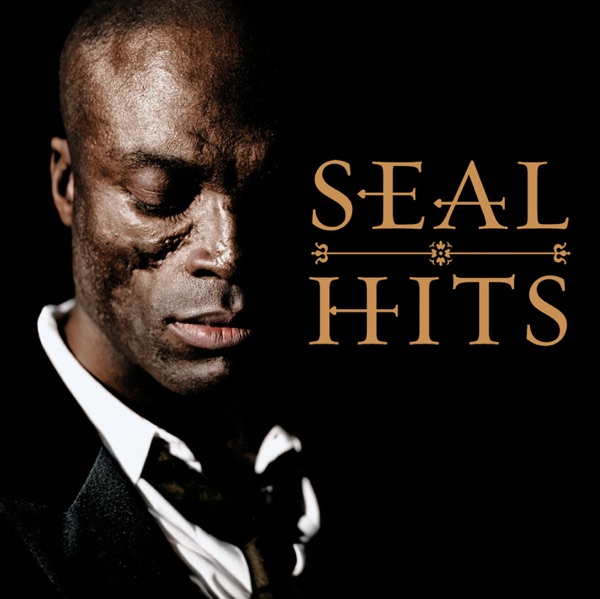 Seal: Hits album cover