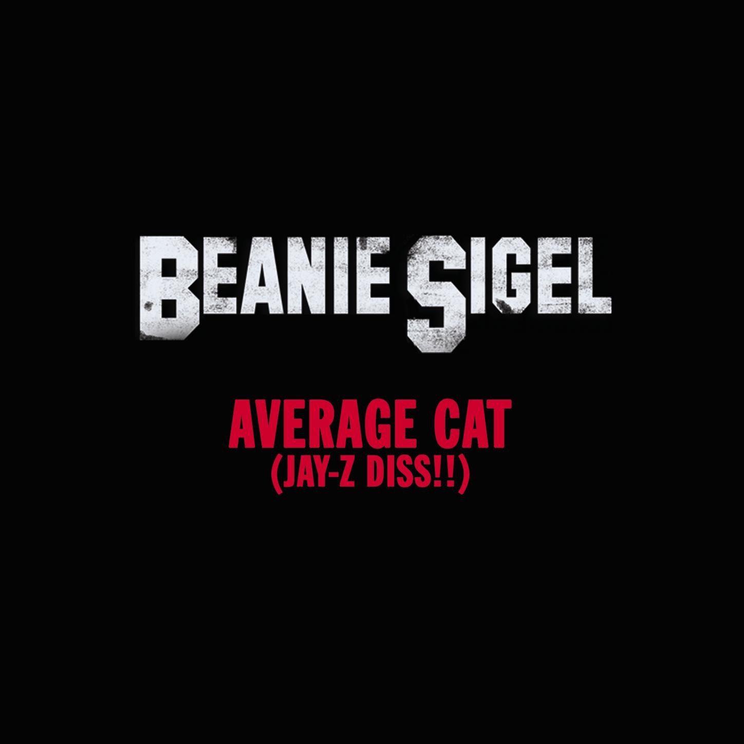 Average Cat (Jay-Z Diss!!) - Single album cover