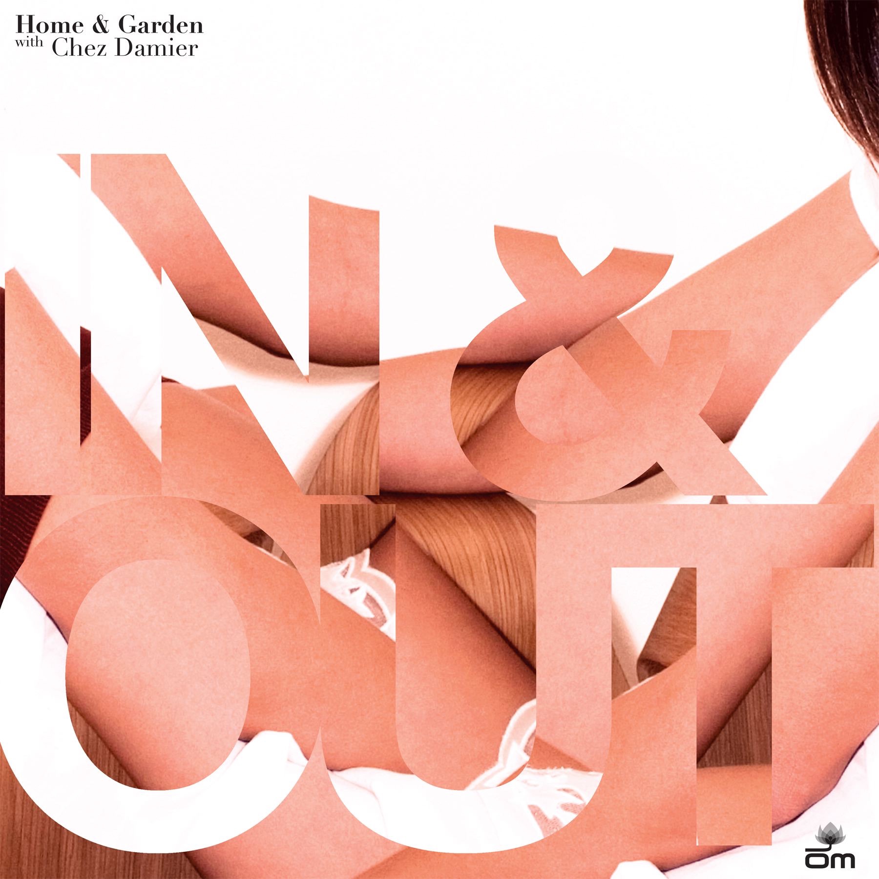 In & Out (With Chez Damier) [Remixes] album cover