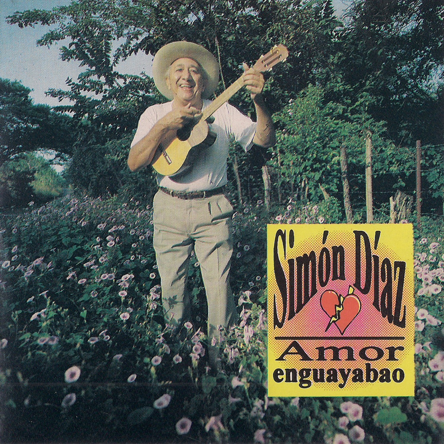 Amor Enguayabo album cover