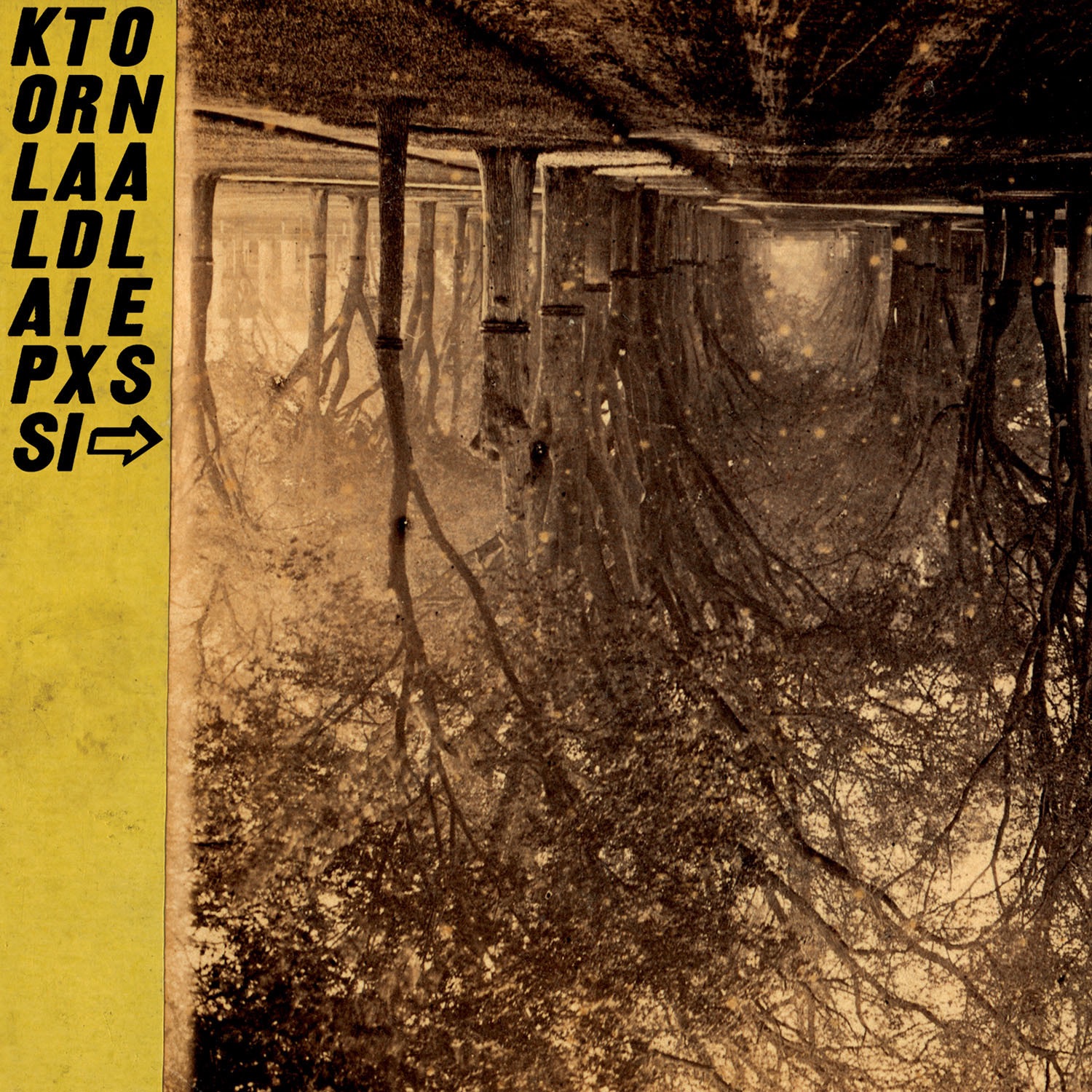 Kollaps Tradixionales album cover