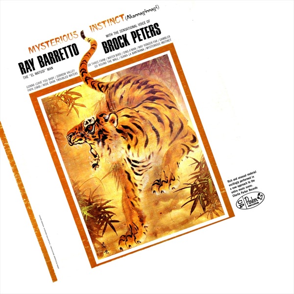 Mysterious Instinct album cover