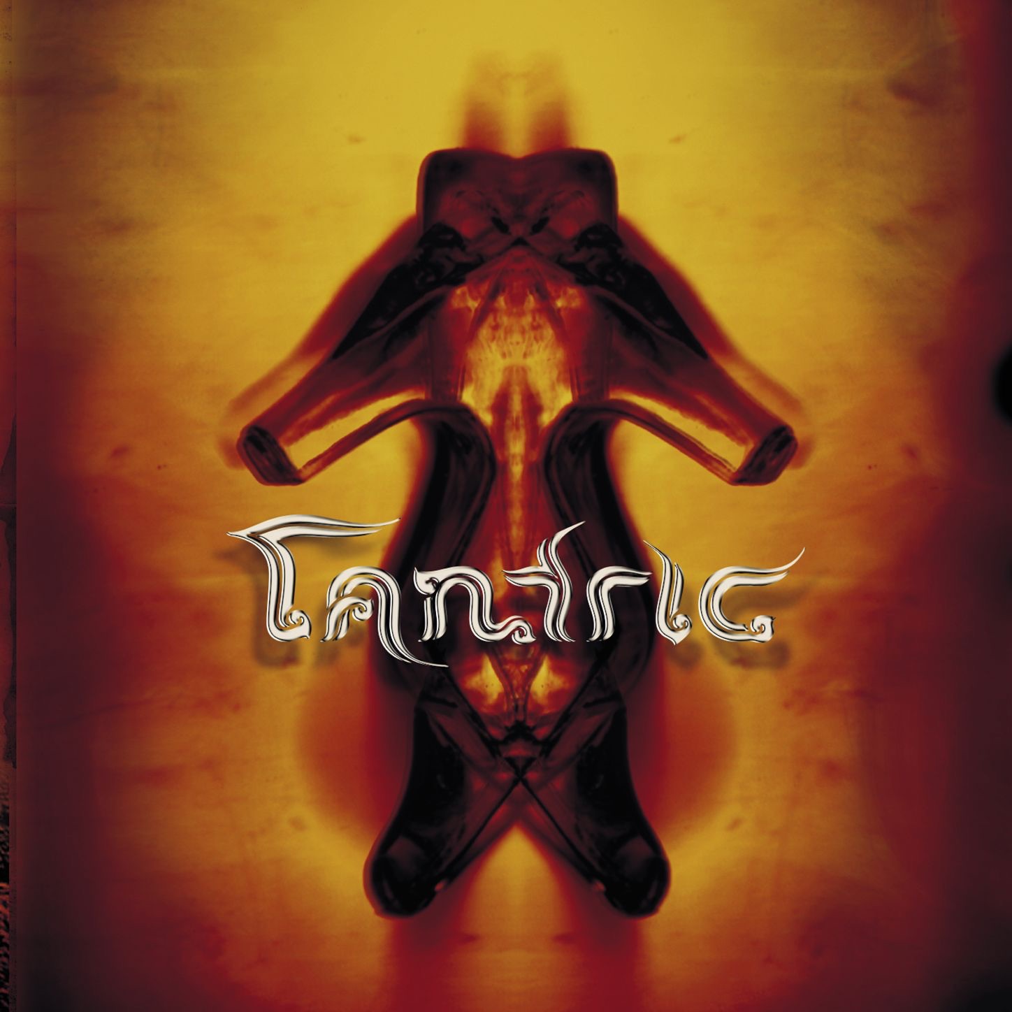 Tantric album cover