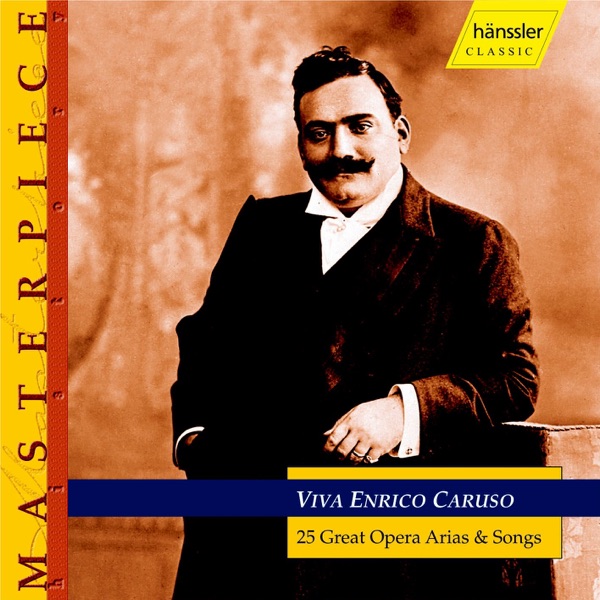 25 Great Opera Arias & Songs album cover
