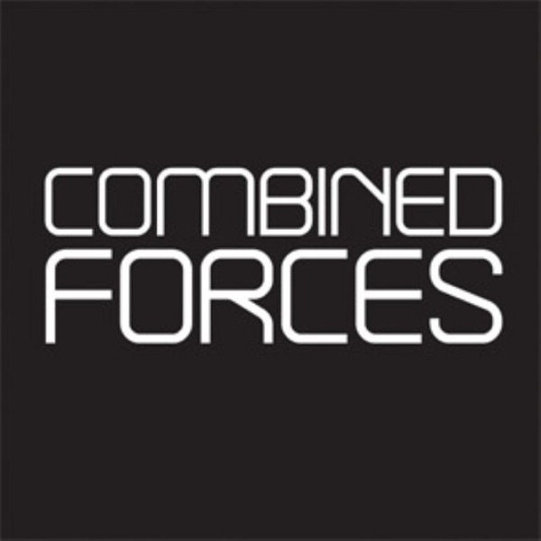 Silver Wings - Single album cover