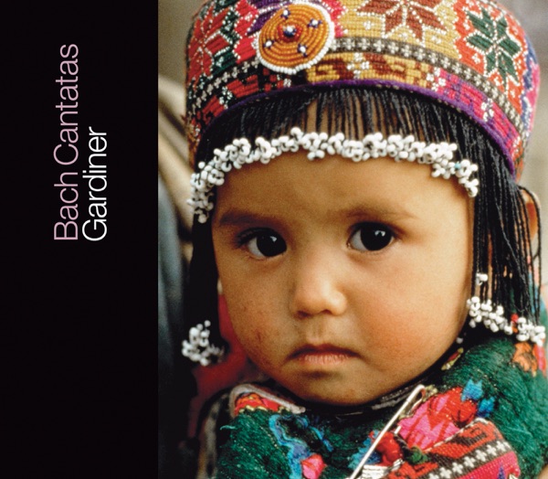 Bach: Cantatas, Vol. 16 - BWV 28, 122, 152, 190, 225 album cover