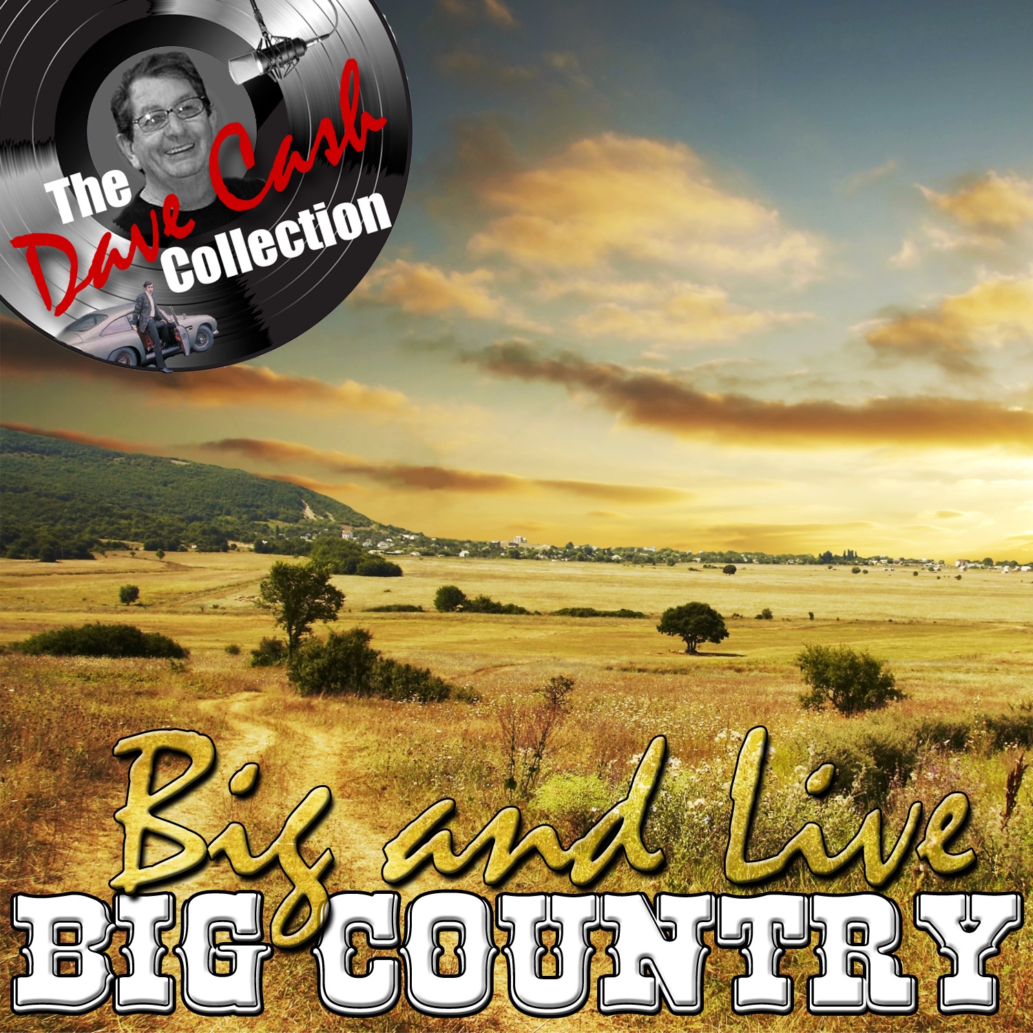 Big And Live (The Dave Cash Collection) album cover