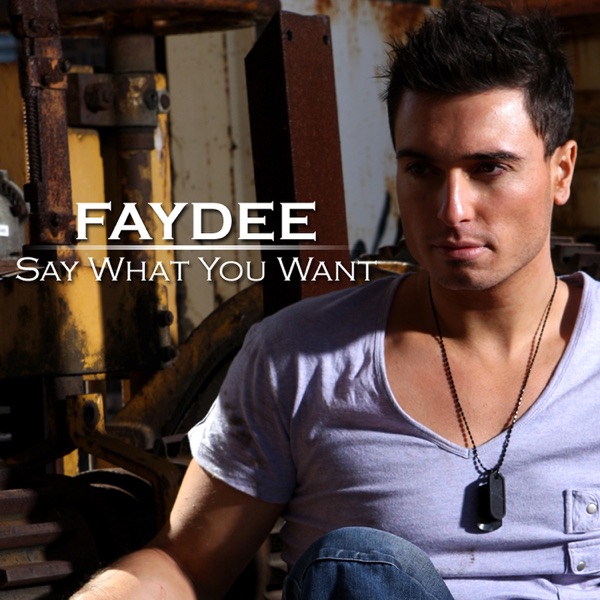 Say What You Want album cover