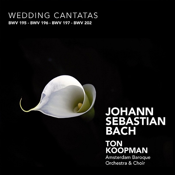 Bach: Wedding Cantatas album cover