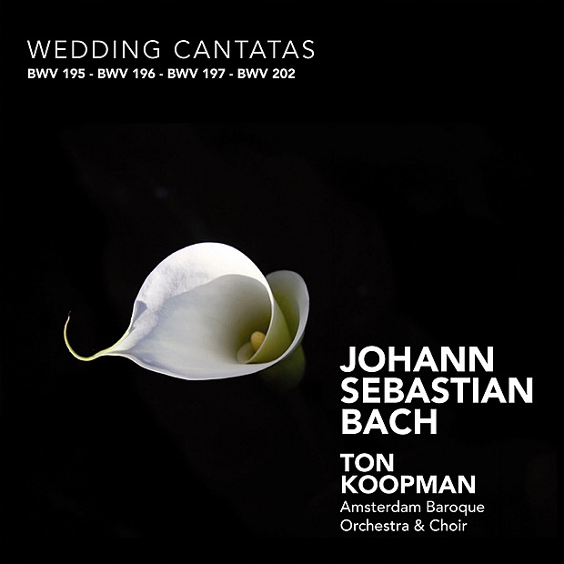 Bach: Wedding Cantatas album cover