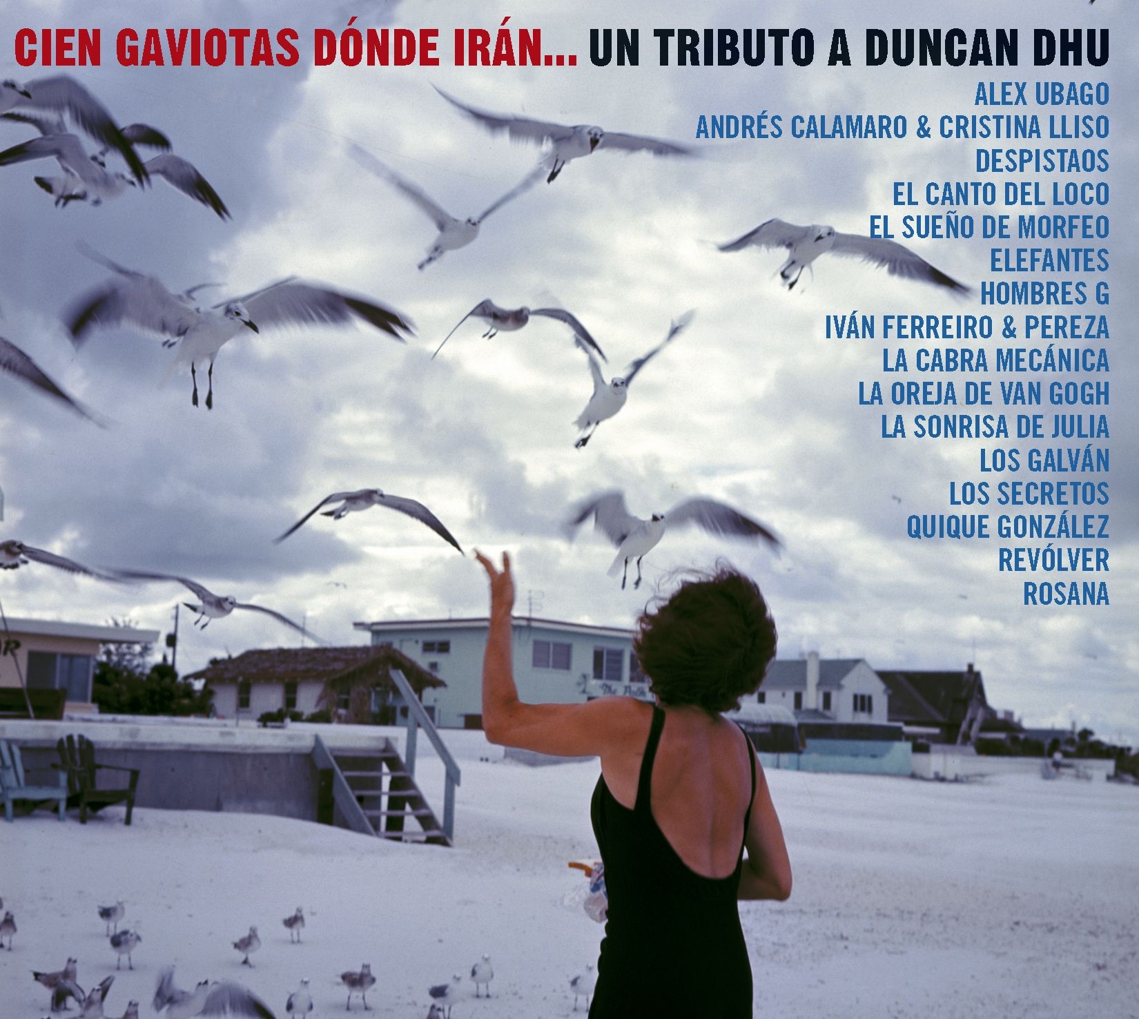 Cien Gaviotas Dónde Irán - Un Tributo a Duncan Dhu album cover