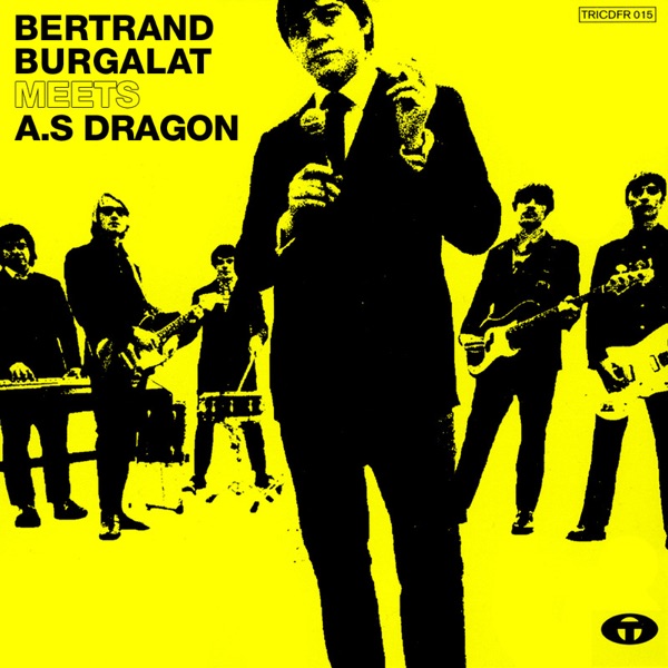 Bertrand Burgalat Meets A.S Dragon album cover