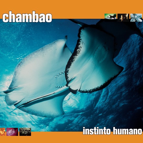 Instinto Humano - Single album cover