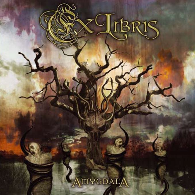 Amygdala album cover