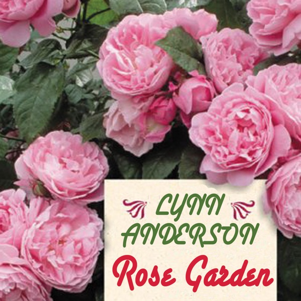 Rose Garden (Re-Recorded Version) album cover