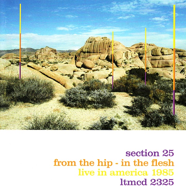 From the Hip - In the Flesh (Live) [Remastered] album cover