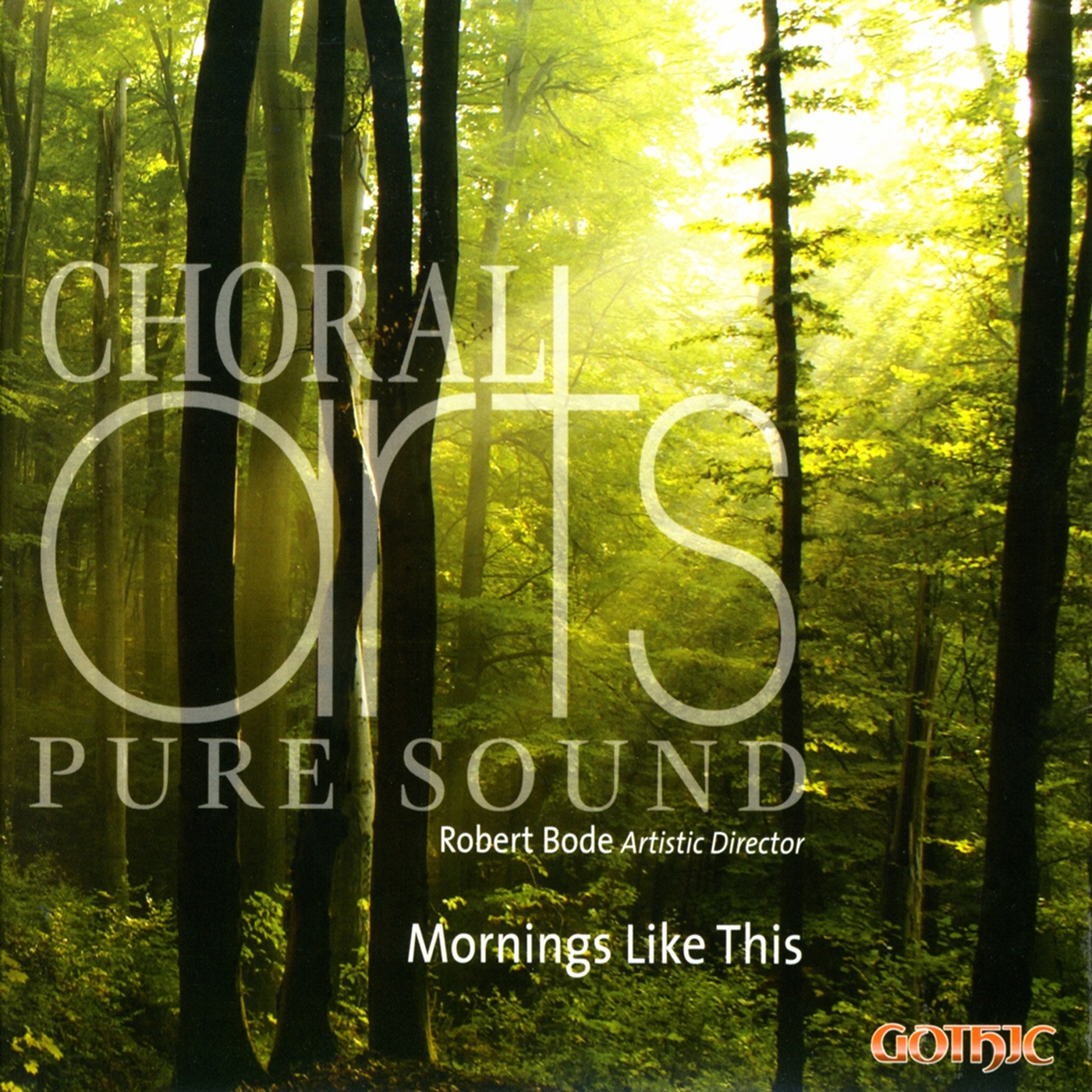 Mornings Like This album cover