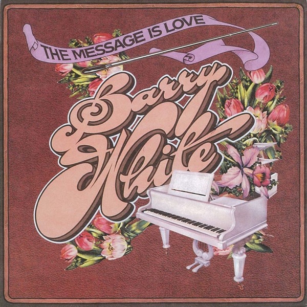 The Message Is Love album cover