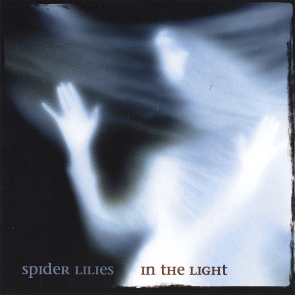 In the Light album cover