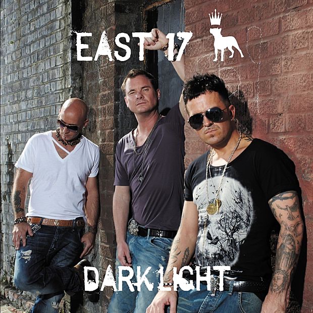 Dark Light album cover