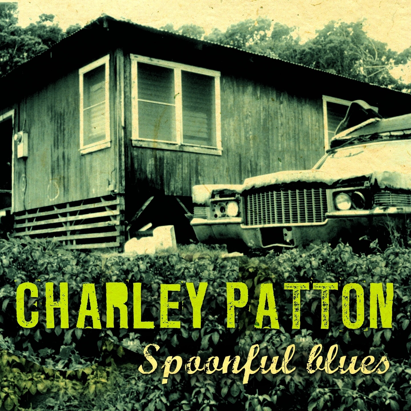 Spoonful Blues album cover