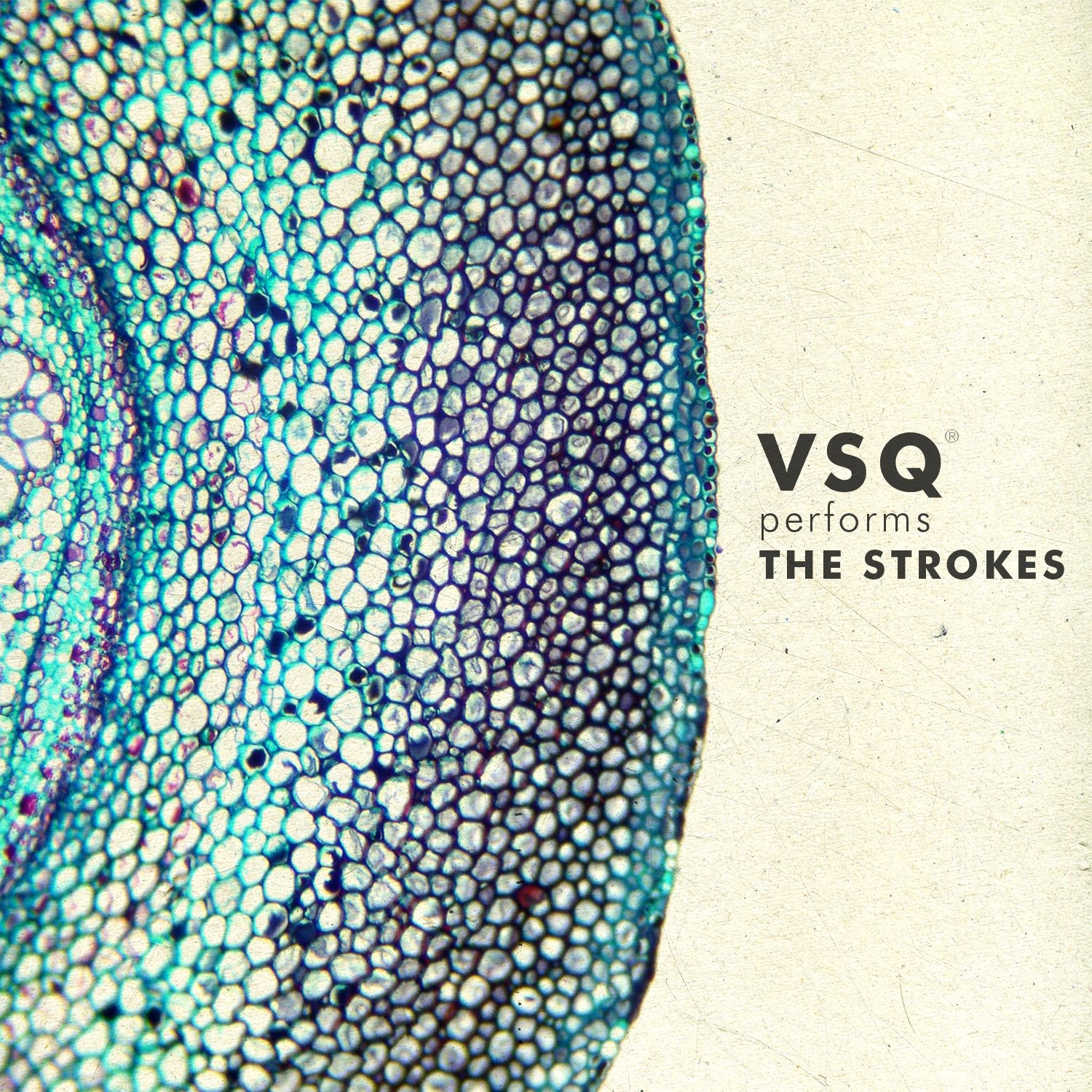 VSQ Performs The Strokes album cover