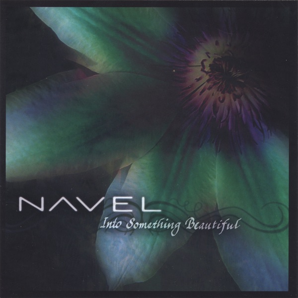 Into Something Beautiful album cover