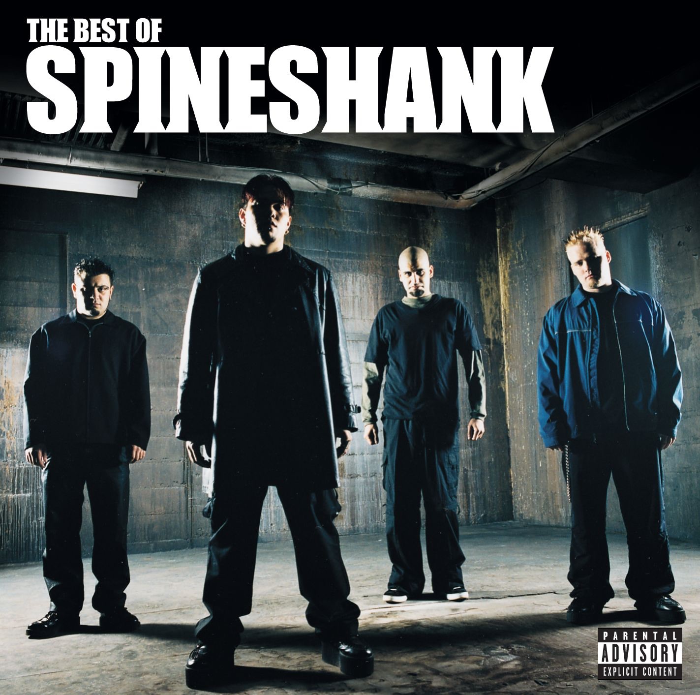 The Best of Spineshank album cover