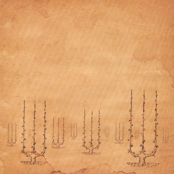 These Winter Dreams album cover