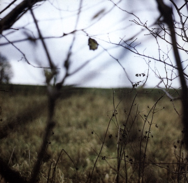 The Cycle of Days & Seasons album cover