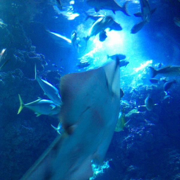 Beyond the Mirage album cover