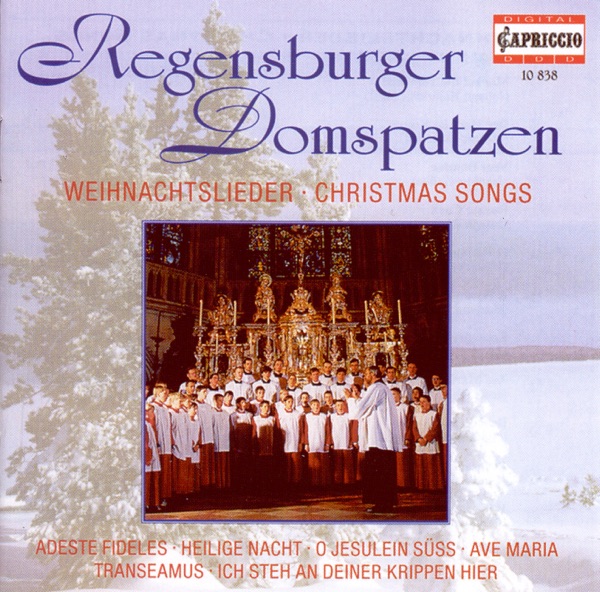 Christmas Choral Concert: Regensburg Cathedral Choir - Lutzel, J.H. - Pachelbel, J. - Handl, J. - Rh album cover