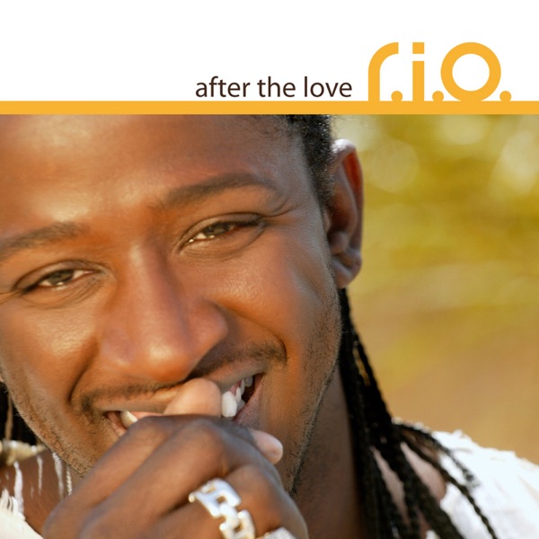 After the Love (Remixes) - Single album cover