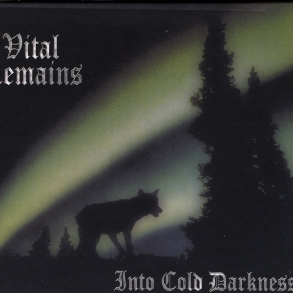 Into Cold Darkness album cover