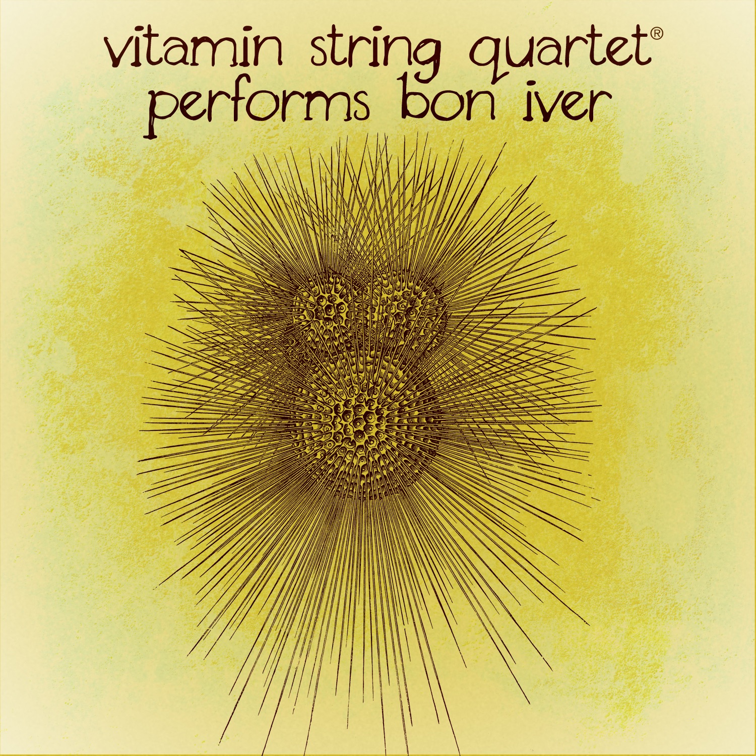 Vitamin String Quartet Performs Bon Iver album cover