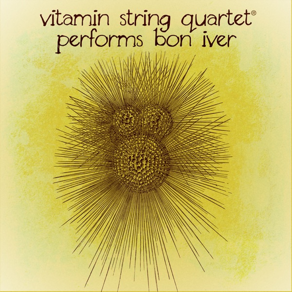 Vitamin String Quartet Performs Bon Iver album cover