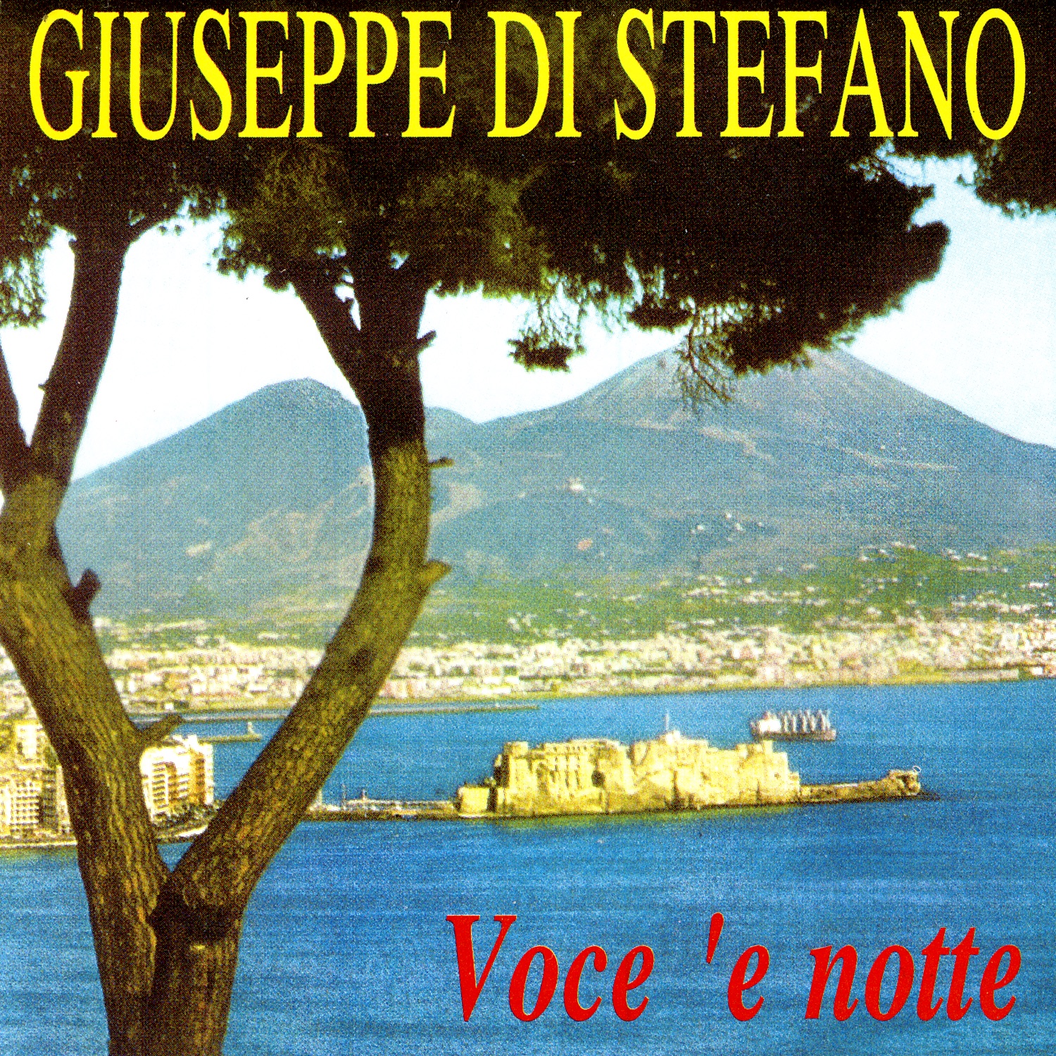 Voce 'E Notte album cover