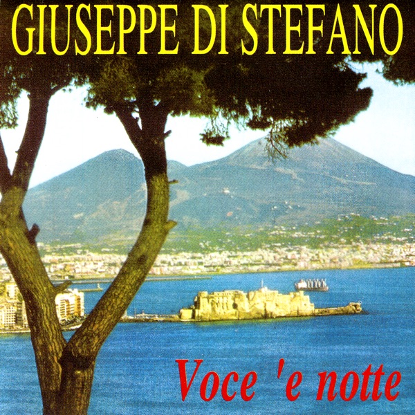 Voce 'E Notte album cover
