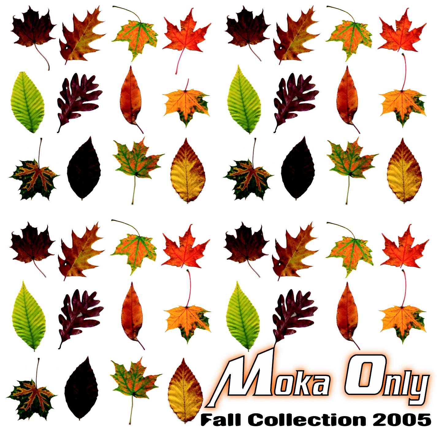 Fall Collection 2005 album cover