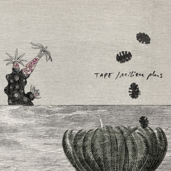 Milieu Plus album cover