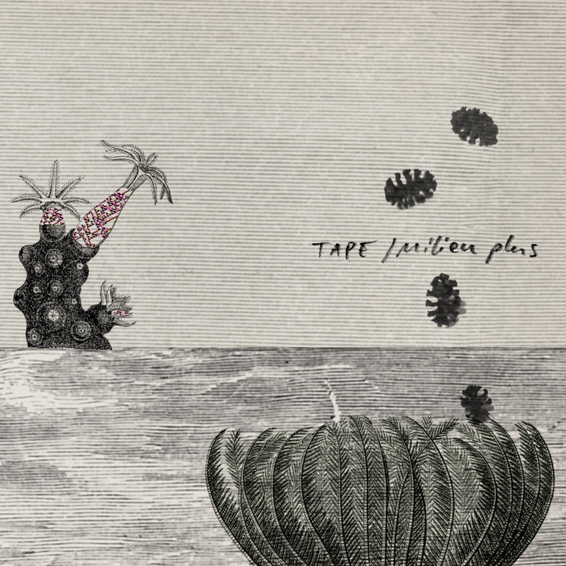 Milieu Plus album cover