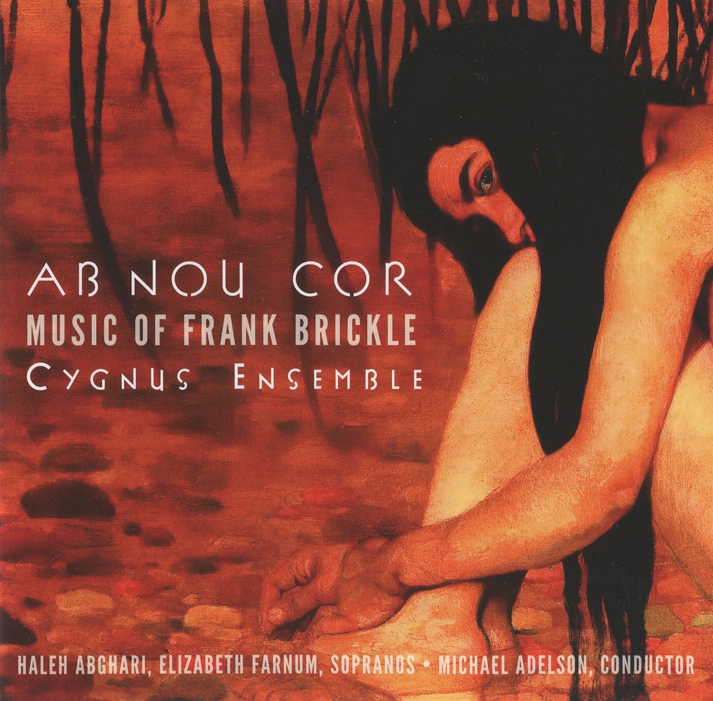 Ab Nou Cor album cover