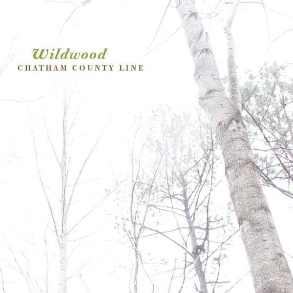Wildwood album cover