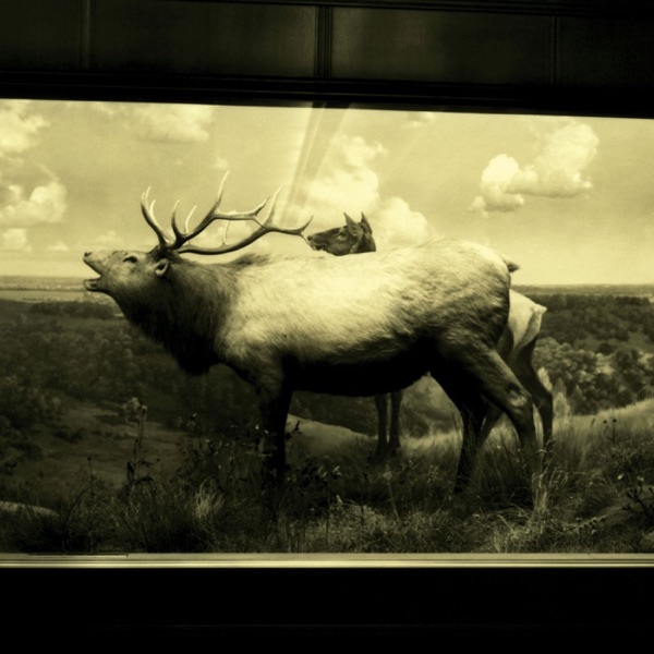 The Snow Magic album cover