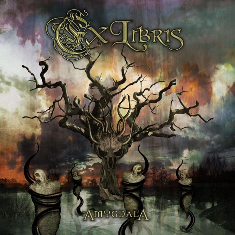 Amygdala album cover