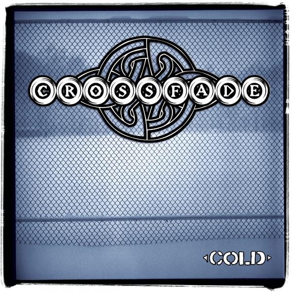 Cold - Single album cover
